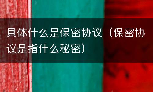 具体什么是保密协议（保密协议是指什么秘密）