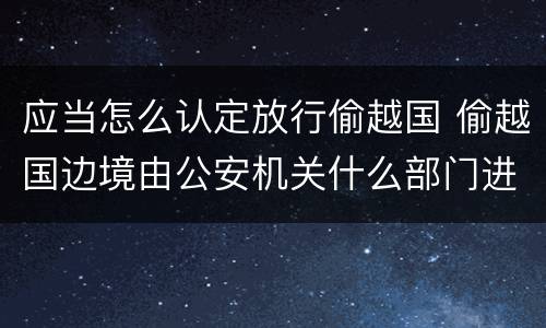 应当怎么认定放行偷越国 偷越国边境由公安机关什么部门进行处罚