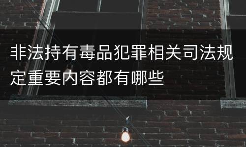 非法持有毒品犯罪相关司法规定重要内容都有哪些