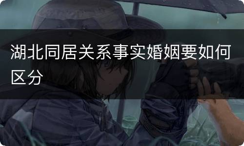 湖北同居关系事实婚姻要如何区分