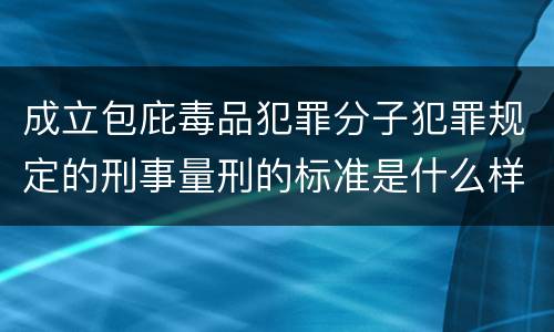 成立包庇毒品犯罪分子犯罪规定的刑事量刑的标准是什么样的