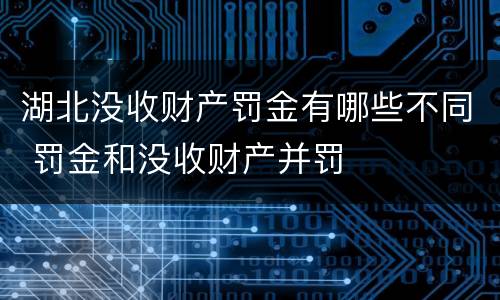 湖北没收财产罚金有哪些不同 罚金和没收财产并罚