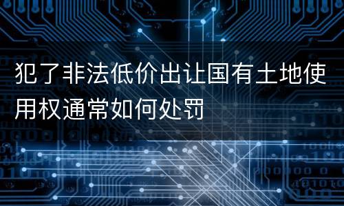 犯了非法低价出让国有土地使用权通常如何处罚