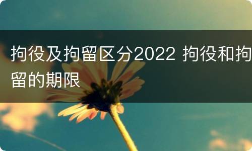 拘役及拘留区分2022 拘役和拘留的期限