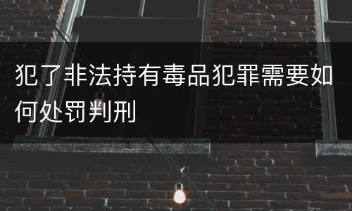 犯了非法持有毒品犯罪需要如何处罚判刑