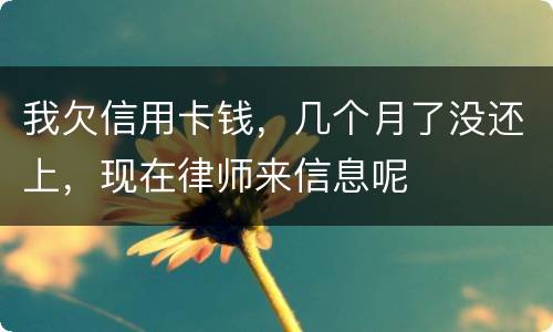 我欠信用卡钱，几个月了没还上，现在律师来信息呢