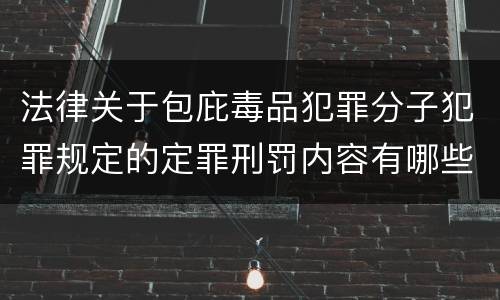 法律关于包庇毒品犯罪分子犯罪规定的定罪刑罚内容有哪些