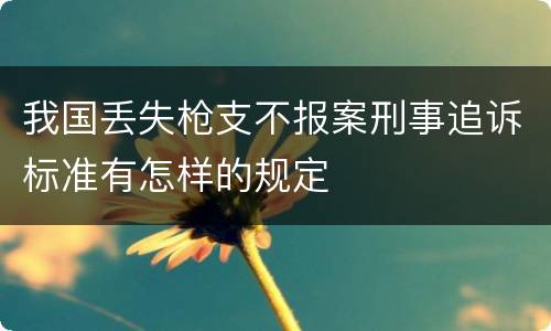 我国丢失枪支不报案刑事追诉标准有怎样的规定