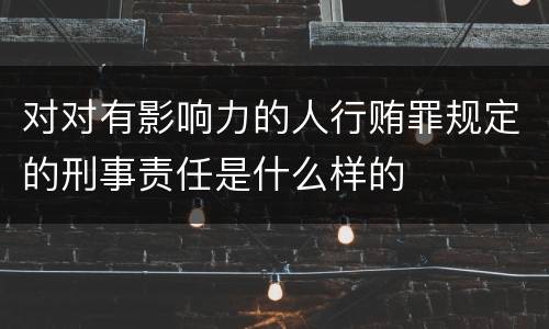 对对有影响力的人行贿罪规定的刑事责任是什么样的