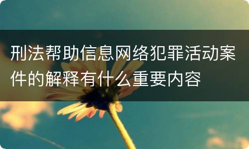 刑法帮助信息网络犯罪活动案件的解释有什么重要内容