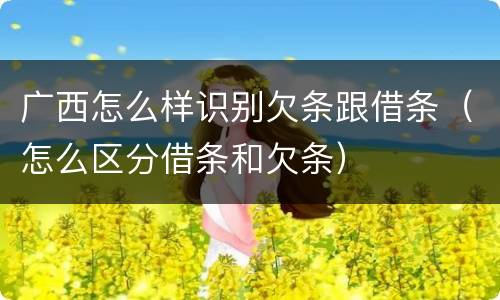 广西怎么样识别欠条跟借条（怎么区分借条和欠条）