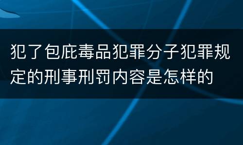 犯了包庇毒品犯罪分子犯罪规定的刑事刑罚内容是怎样的