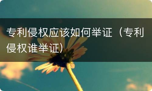 专利侵权应该如何举证（专利侵权谁举证）
