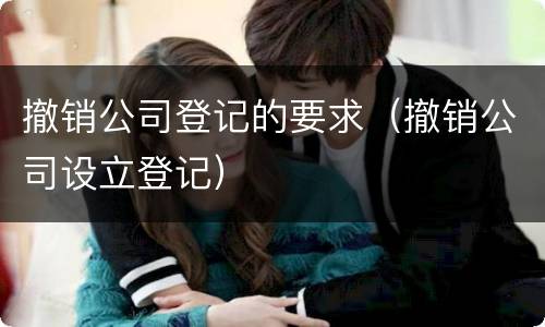 撤销公司登记的要求（撤销公司设立登记）