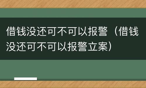 借钱没还可不可以报警（借钱没还可不可以报警立案）