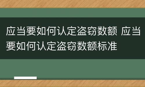 应当要如何认定盗窃数额 应当要如何认定盗窃数额标准