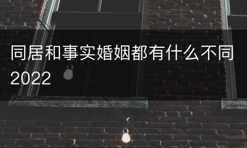 同居和事实婚姻都有什么不同2022