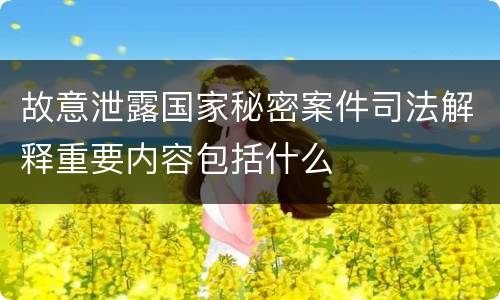 故意泄露国家秘密案件司法解释重要内容包括什么