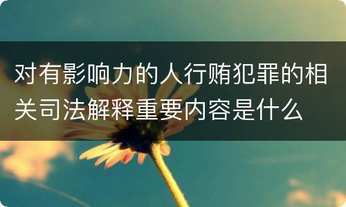 对有影响力的人行贿犯罪的相关司法解释重要内容是什么