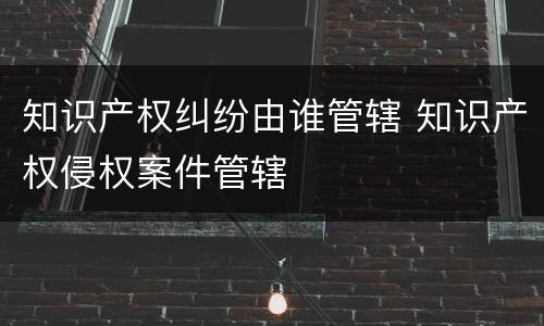 知识产权纠纷由谁管辖 知识产权侵权案件管辖