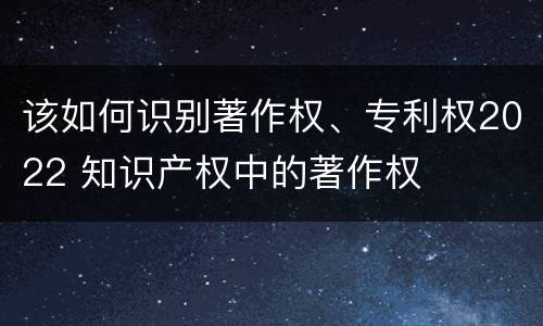 该如何识别著作权、专利权2022 知识产权中的著作权