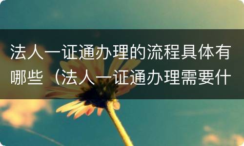 法人一证通办理的流程具体有哪些（法人一证通办理需要什么资料）