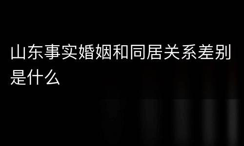 山东事实婚姻和同居关系差别是什么
