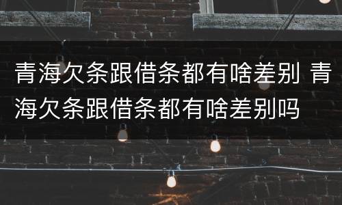 青海欠条跟借条都有啥差别 青海欠条跟借条都有啥差别吗