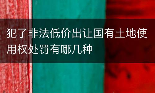犯了非法低价出让国有土地使用权处罚有哪几种