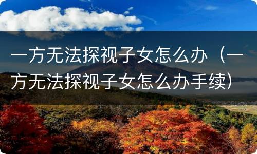 一方无法探视子女怎么办（一方无法探视子女怎么办手续）