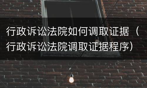 行政诉讼法院如何调取证据（行政诉讼法院调取证据程序）