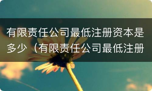 有限责任公司最低注册资本是多少（有限责任公司最低注册资本多少钱）
