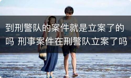 到刑警队的案件就是立案了的吗 刑事案件在刑警队立案了吗