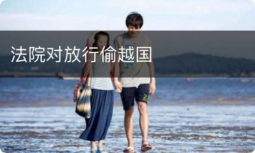 法院对放行偷越国