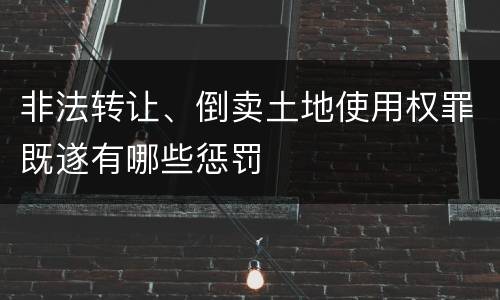 非法转让、倒卖土地使用权罪既遂有哪些惩罚