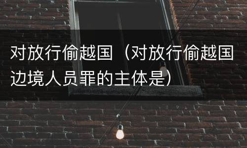对放行偷越国（对放行偷越国边境人员罪的主体是）