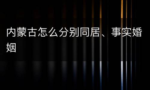 内蒙古怎么分别同居、事实婚姻