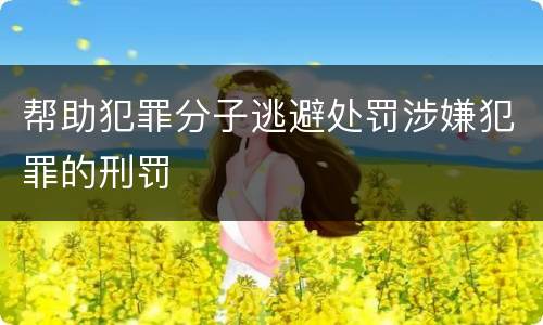 帮助犯罪分子逃避处罚涉嫌犯罪的刑罚