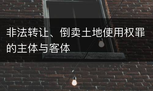 非法转让、倒卖土地使用权罪的主体与客体