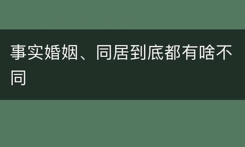 事实婚姻、同居到底都有啥不同