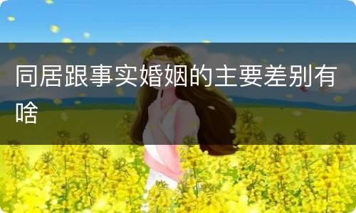 同居跟事实婚姻的主要差别有啥