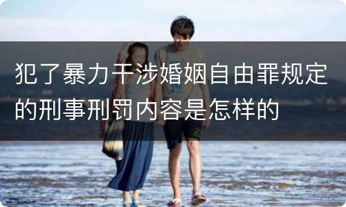 犯了暴力干涉婚姻自由罪规定的刑事刑罚内容是怎样的