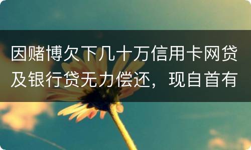 因赌博欠下几十万信用卡网贷及银行贷无力偿还，现自首有什么后果