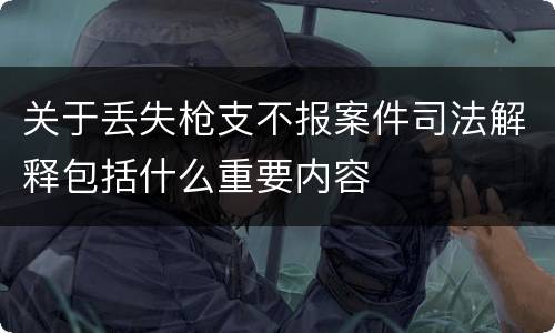 关于丢失枪支不报案件司法解释包括什么重要内容