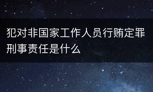 犯对非国家工作人员行贿定罪刑事责任是什么