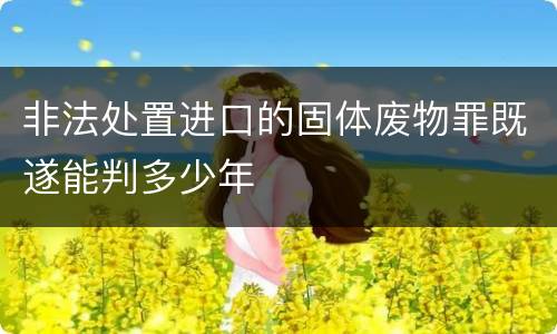 非法处置进口的固体废物罪既遂能判多少年