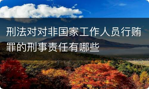 刑法对对非国家工作人员行贿罪的刑事责任有哪些