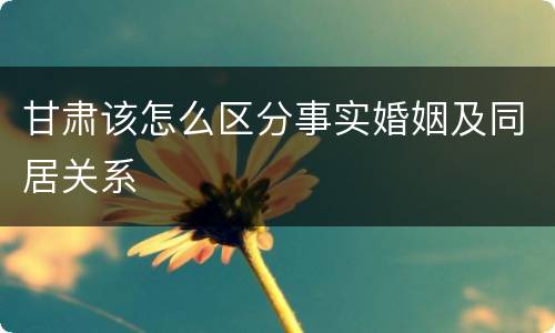 甘肃该怎么区分事实婚姻及同居关系
