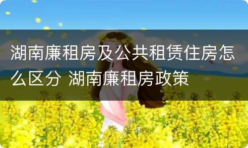 湖南廉租房及公共租赁住房怎么区分 湖南廉租房政策