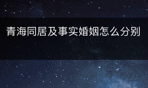 青海同居及事实婚姻怎么分别
